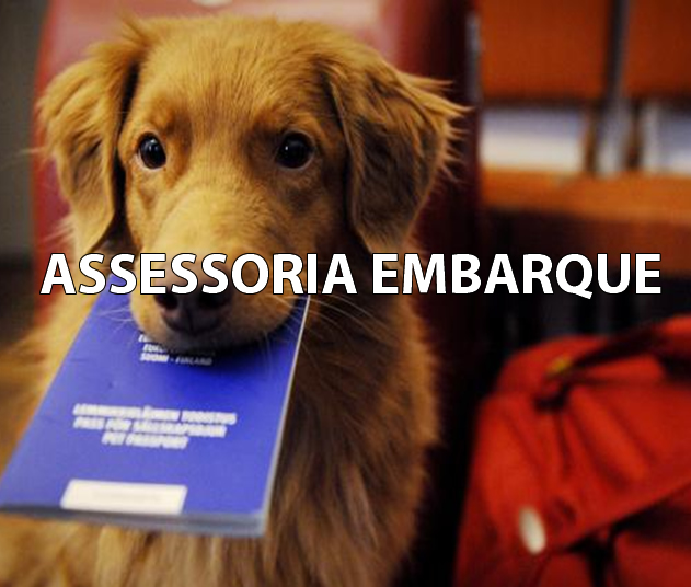 Pet Acompanhado