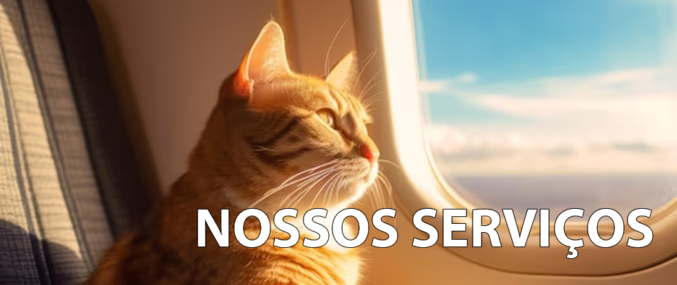 Pet Acompanhado