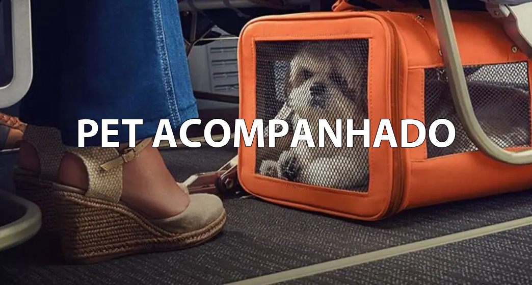 Pet Acompanhado