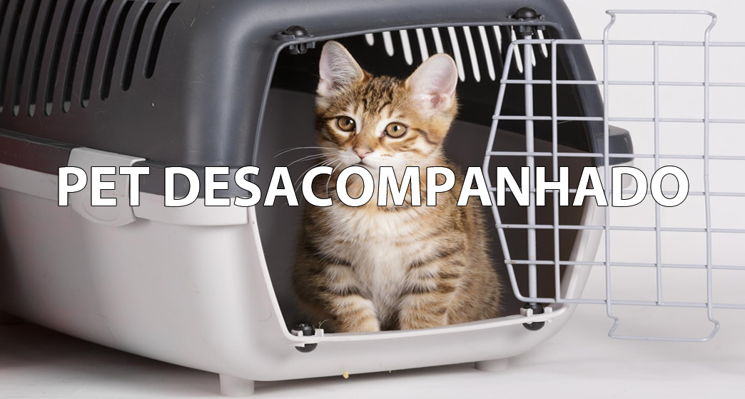 Pet Desacompanhado